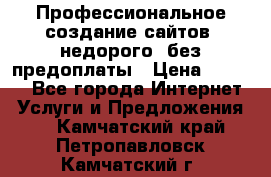 Профессиональное создание сайтов, недорого, без предоплаты › Цена ­ 5 000 - Все города Интернет » Услуги и Предложения   . Камчатский край,Петропавловск-Камчатский г.